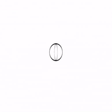 ProyectoM-ezgif.com-optimize